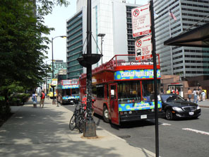 bus